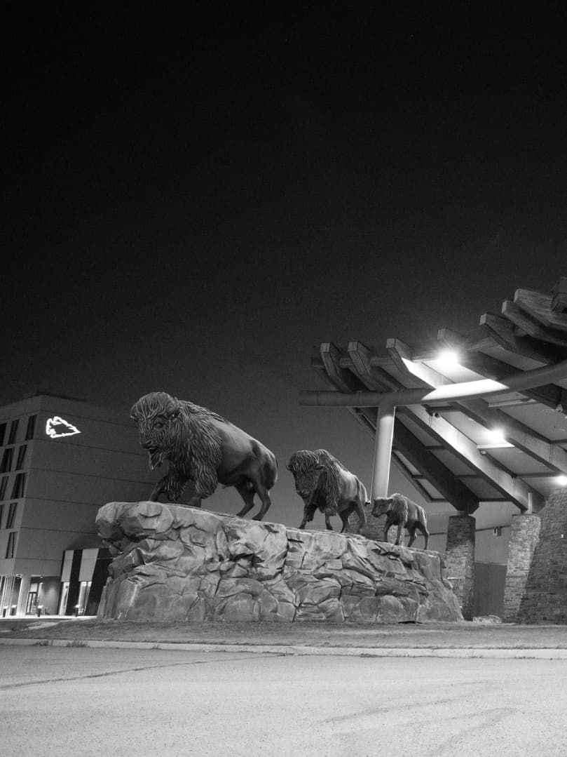Bison statues at resort entrance